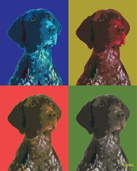 Dog Portrait
