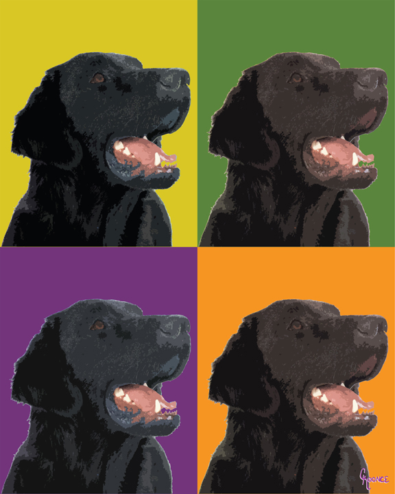 Dog Portrait