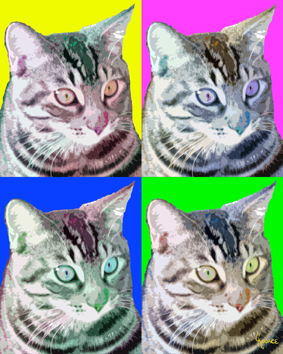 Cat Portraits