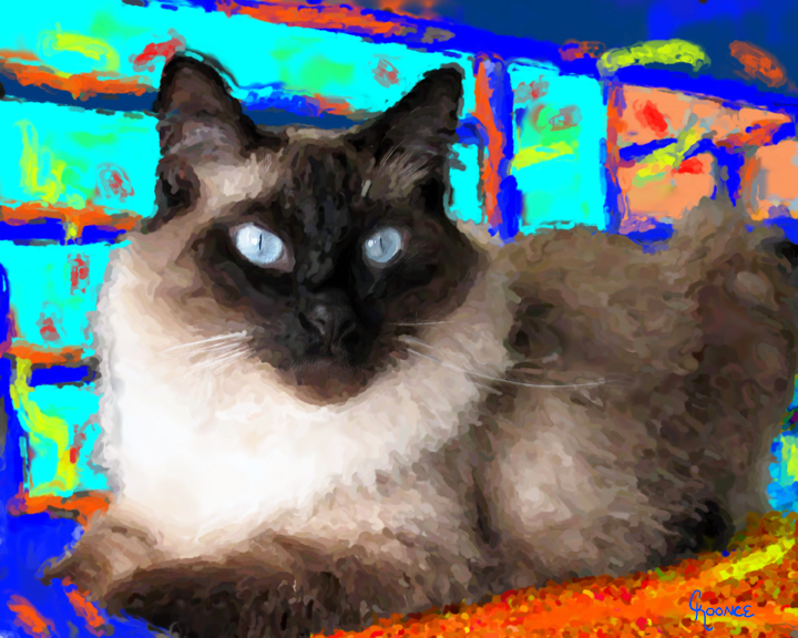 Cat Portraits