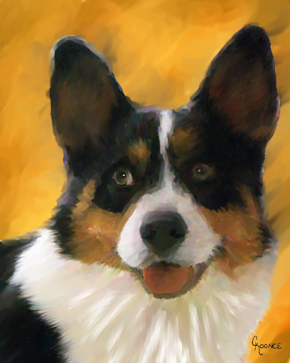 Dog Portraits