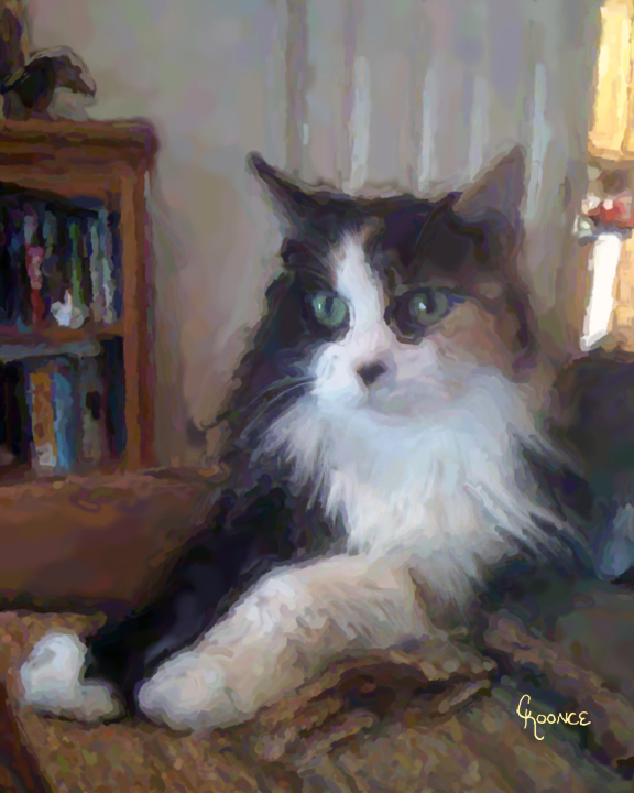 Cat Portrait