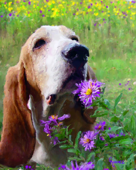 Dog Portrait