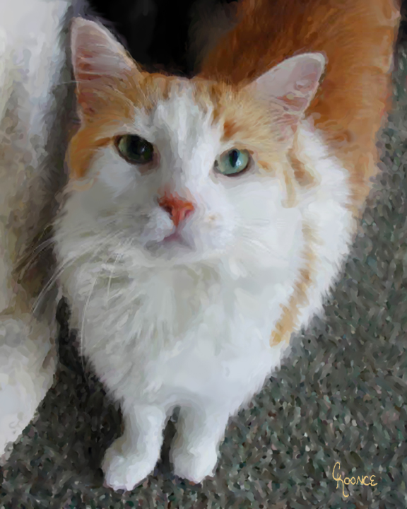 Cat Portrait