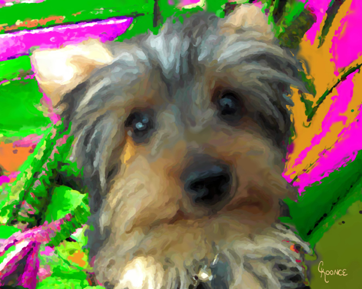 Dog Portrait