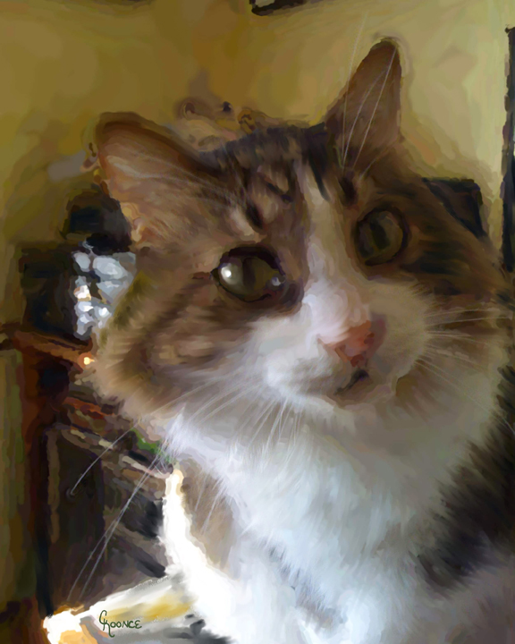 Cat Portrait