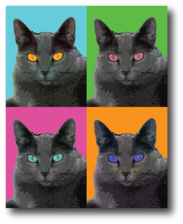 Cat Portrait