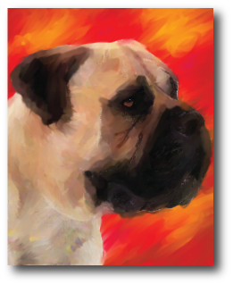 Dog Portrait
