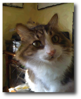 Cat Portrait